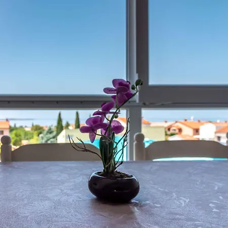 Apartment In Vodnjan/istrien 38207